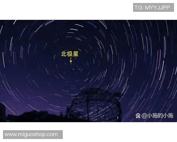 北方星与本土拓为的战略对决与市场前景分析