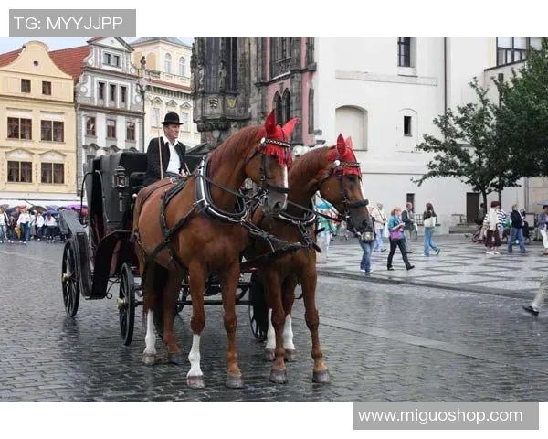 哈德森的魅力探秘：从历史遗迹到现代文化的融合之旅